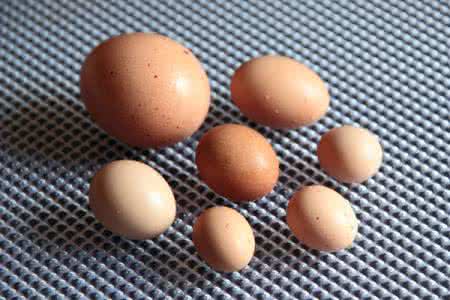 身上的白癜风白斑是怎么去治疗的,怎么检测身上的白斑是不是白癜风