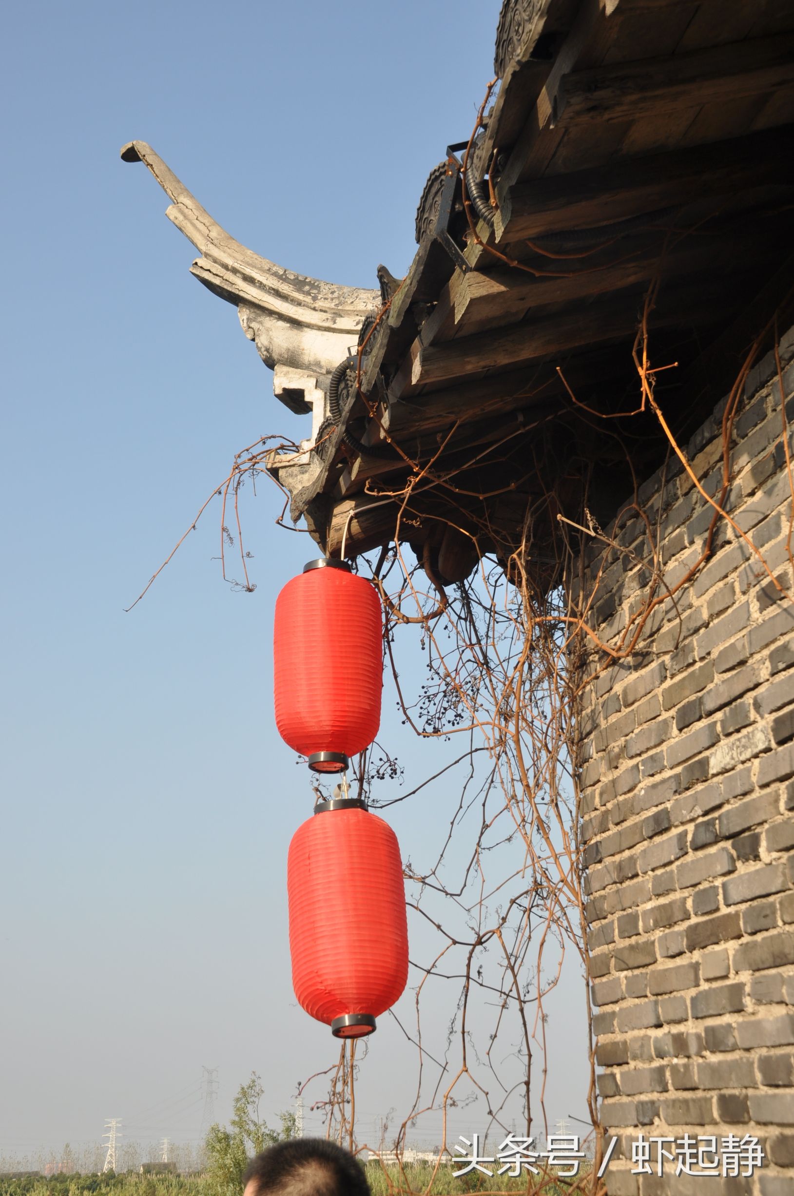 沙家浜芦苇荡风景区民宿价格,沙家浜故事原型芦苇荡在哪里