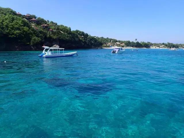 喜大普奔完整版视频,喜大普奔完整视频