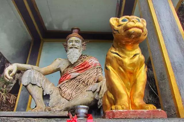 喜大普奔完整版视频,喜大普奔完整视频