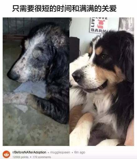 桌边社20170615：这么热的天气出门，撒孜然比喷香水更诱人