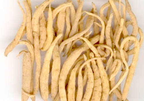 西洋参,人参,*党**参,太子参,沙参都是参,但作用差别就大了!