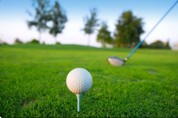 全球高尔夫球球星排名前十,全球十大最好的高尔夫球杆