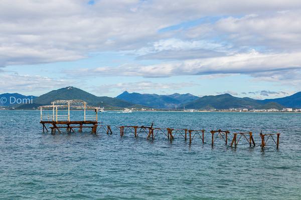 一顿海鲜大餐都有什么,海鲜大餐又便宜又营养又好吃