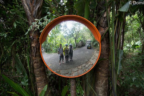 一顿海鲜大餐都有什么,海鲜大餐又便宜又营养又好吃