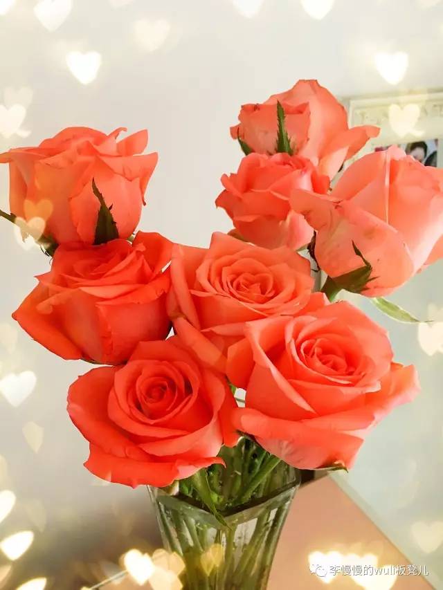 我一见你就笑，这些东西让你心情瞬间变好哟｜慢慢的6月好物推荐