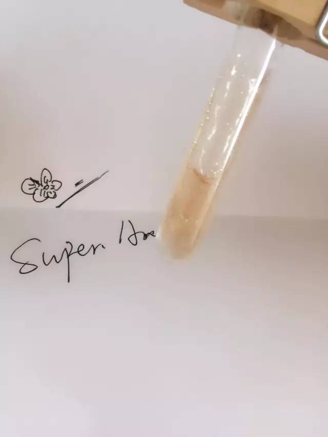 不用芦荟怎么做芦荟胶,不用的芦荟胶怎么办