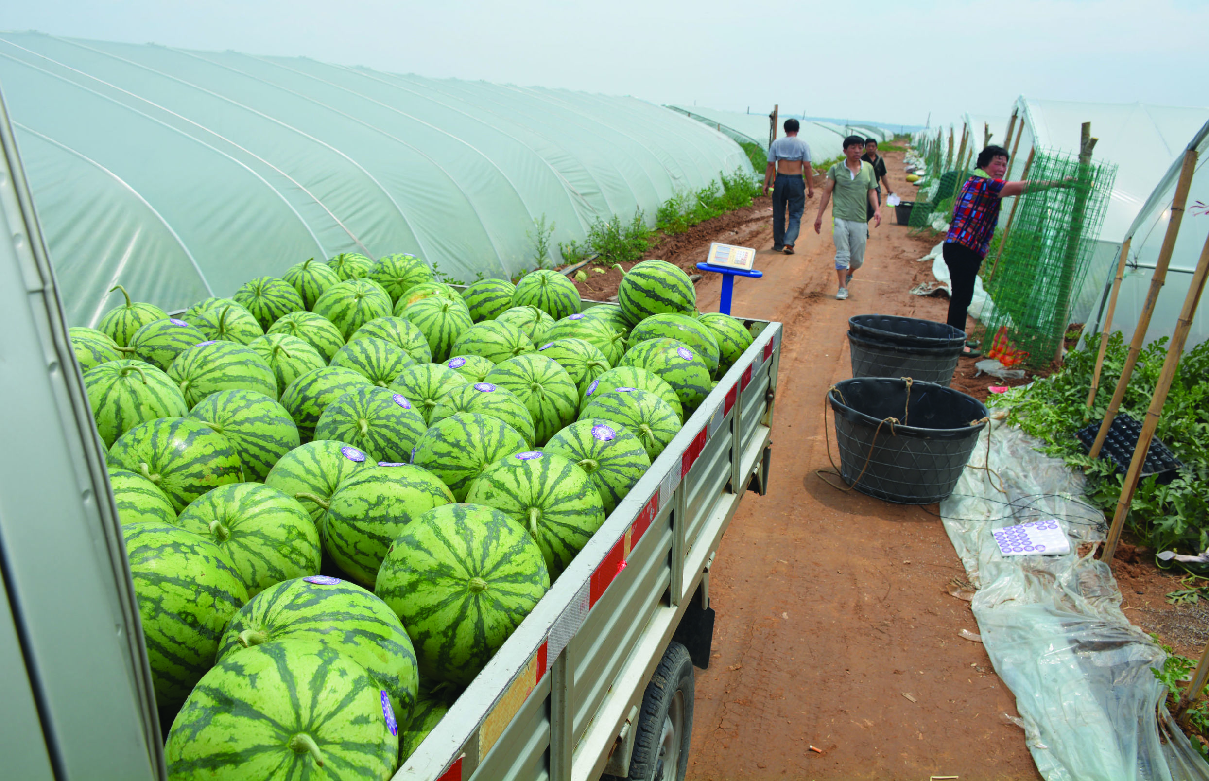 奋力书写新时代奋斗答卷,奋力书写脱贫奔小康的酉阳答卷