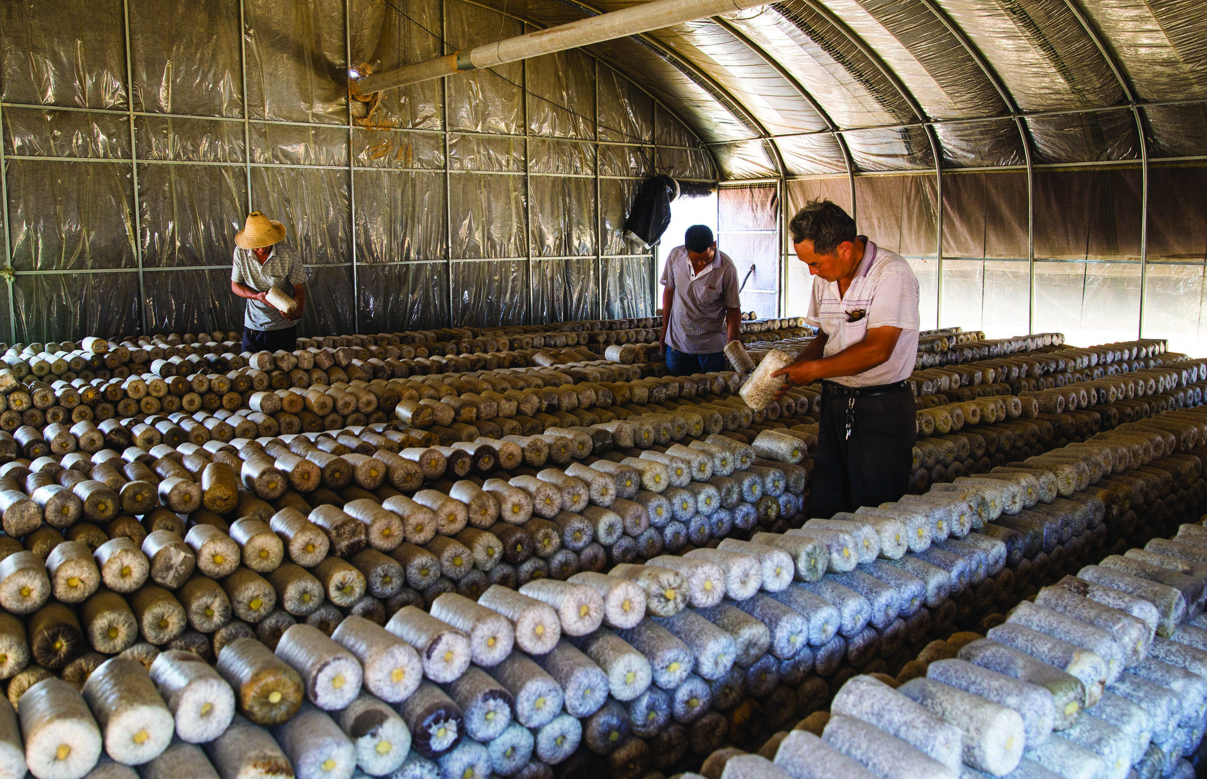 奋力书写新时代奋斗答卷,奋力书写脱贫奔小康的酉阳答卷