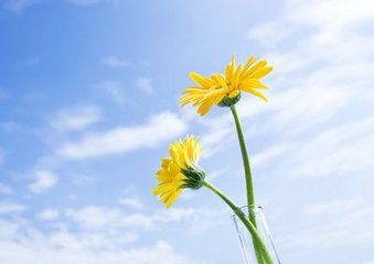 我是如何走出焦虑的,我是怎样走出抑郁