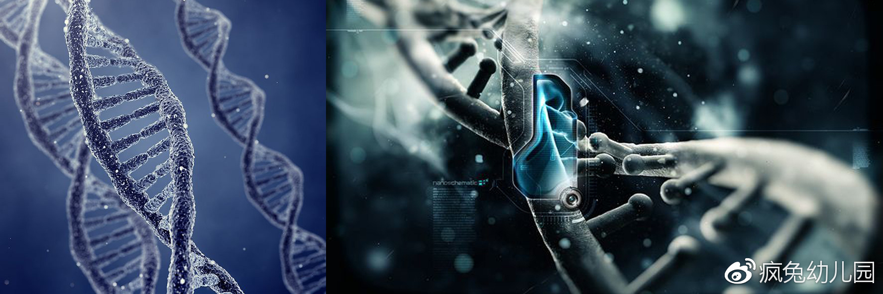 看异形整个系列顺序,想看懂异形先看哪一部