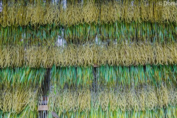 一顿海鲜大餐都有什么,海鲜大餐又便宜又营养又好吃