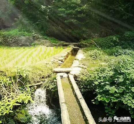 百年前，骤然消逝的苗寨“成江鬼井”，至今还是迷一样的存在