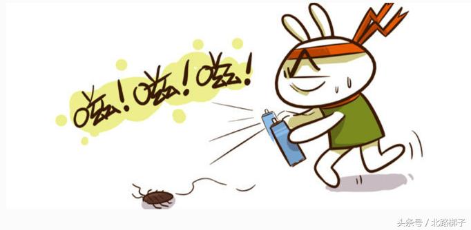 防治蟑螂药物,防治蟑螂最好的药