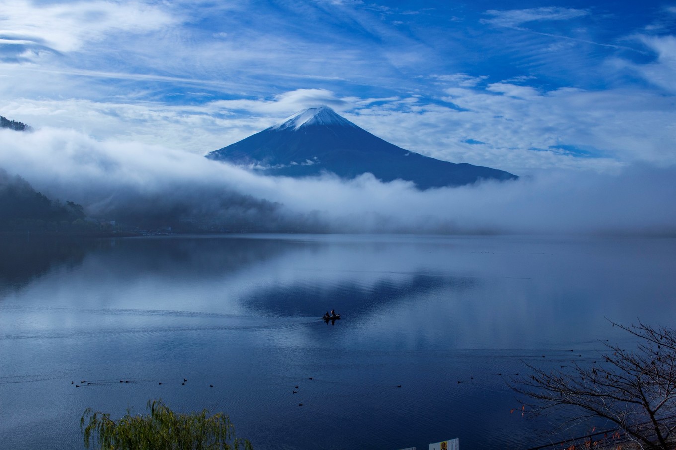 日本物语落樱下的邂逅,浪漫的日本物语
