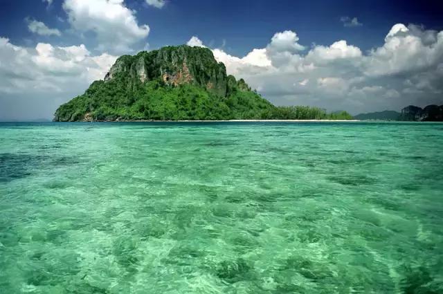 喜大普奔完整版视频,喜大普奔完整视频