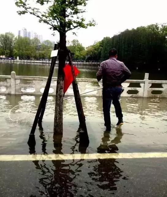 中南民大好在哪,中南民大官网新闻