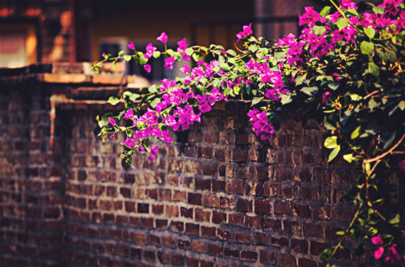 浪漫双鱼座此生必去的旅行地TOP10