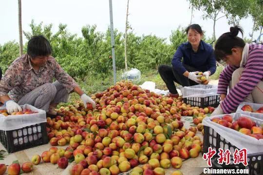 如何在直播行业更好的存活下去,直播运营前景与现状分析