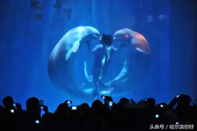 中俄博览会小吃,中俄博览会俄罗斯食品