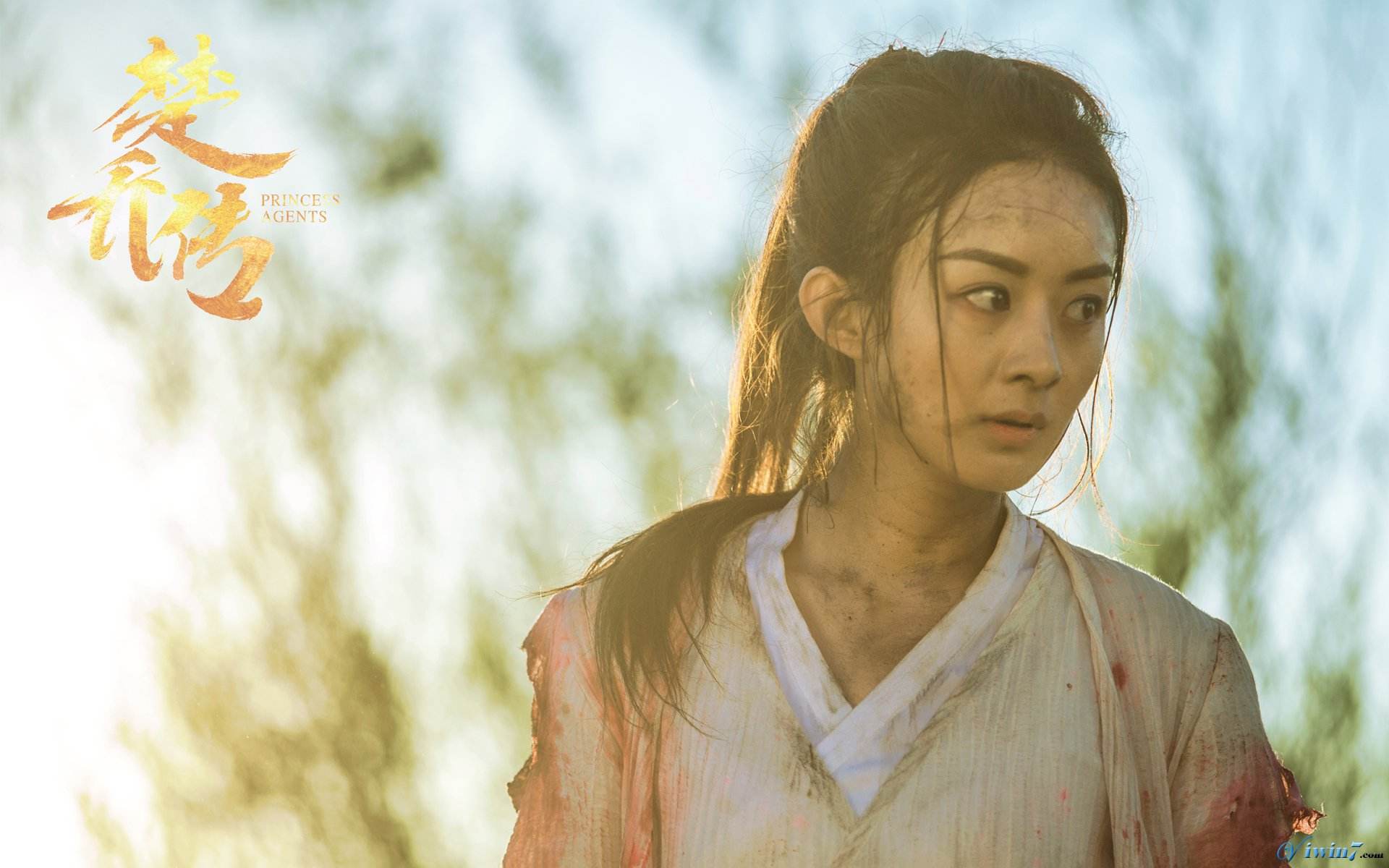 《楚乔传》大结局，楚乔怀了他的孩子，无奈孤独终老