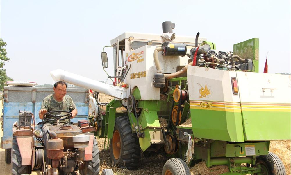纵横田间，麦收不将就，这款山东“壮汉”收割机就是猛