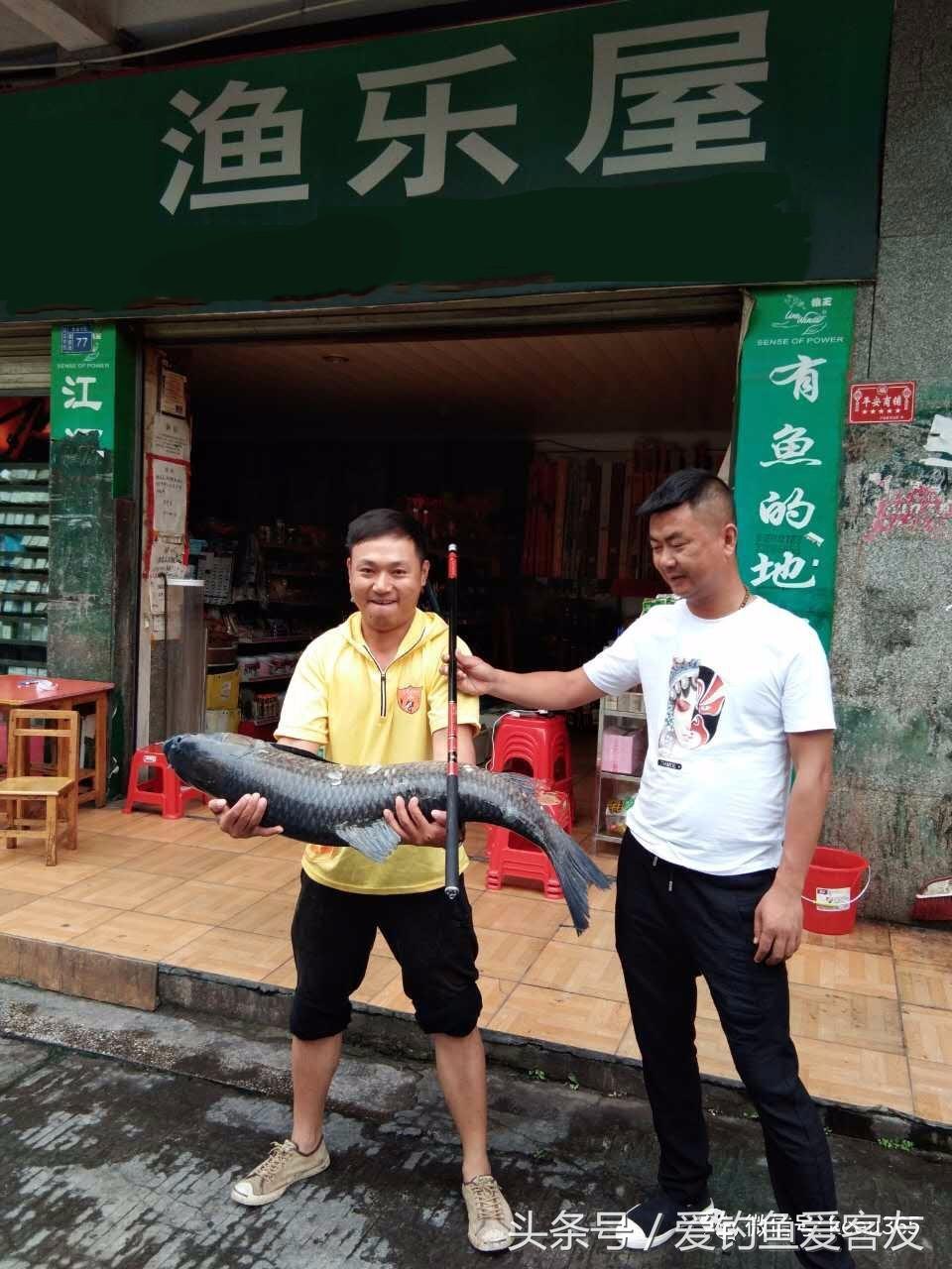 30斤老乌青上岸记