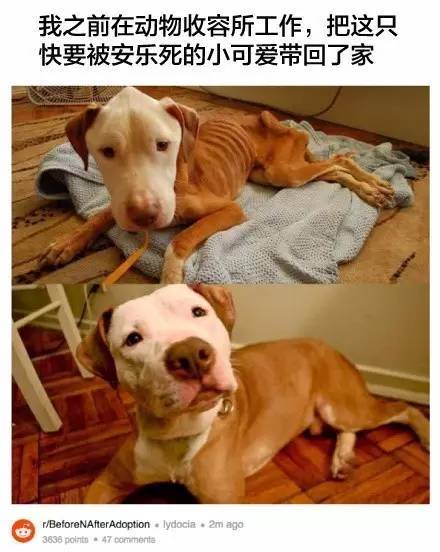 桌边社20170615：这么热的天气出门，撒孜然比喷香水更诱人