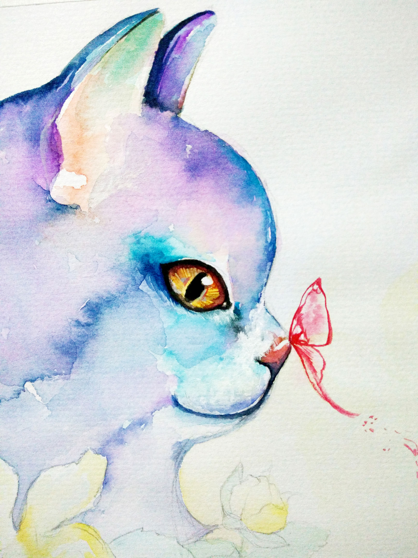 猫咪快速学会的技巧,猫咪快速教学