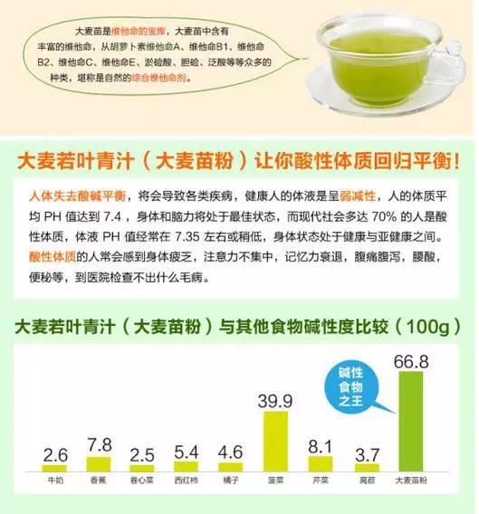 青汁是真的吗,青汁真的那么神奇吗