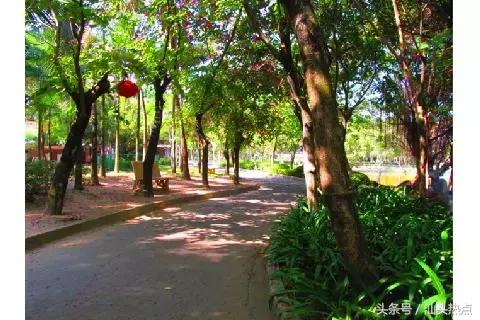 汕头十大公园,汕头最美园景
