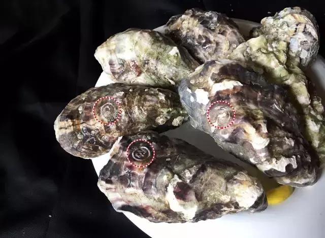 曝光！这种海鲜有“毒”，夏天千万别吃！否则