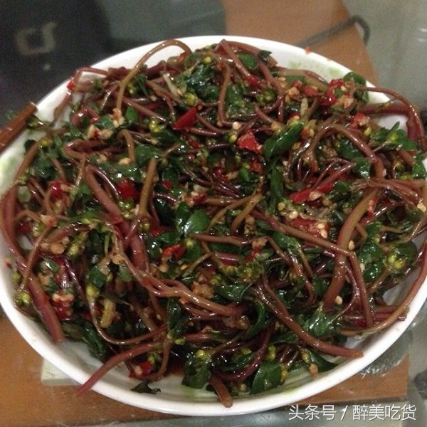 野菜马齿苋的功效与作用禁忌,吃野菜马齿苋有什么禁忌