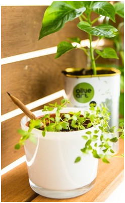 盘点24个成功从Kickstarter众筹平台卖向亚马逊的产品!