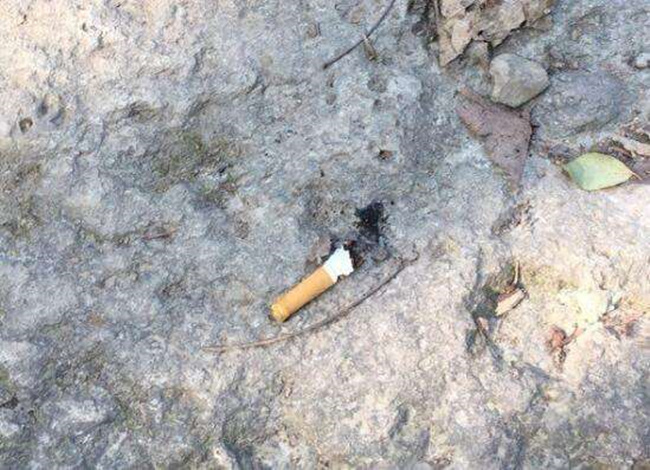 姜紫雅回家（下）