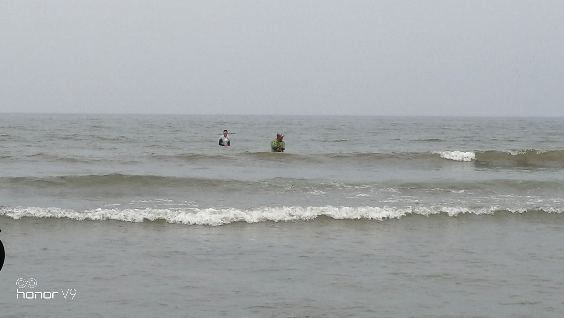 黄蛤怎么捕食,挖青蛤的正确方法视频