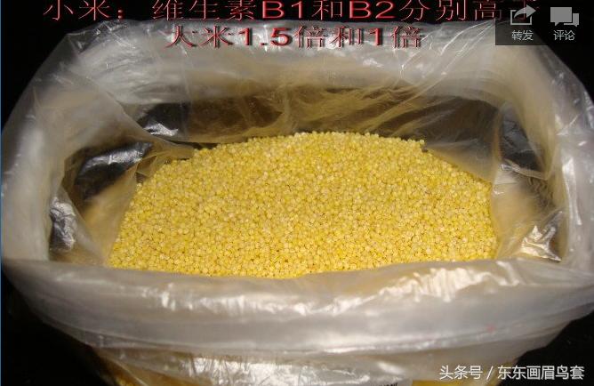 画眉鸟的叫声视频播放,画眉鸟的叫声藏有哪些知识