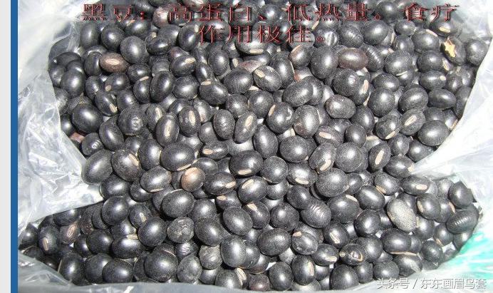 画眉鸟的叫声视频播放,画眉鸟的叫声藏有哪些知识