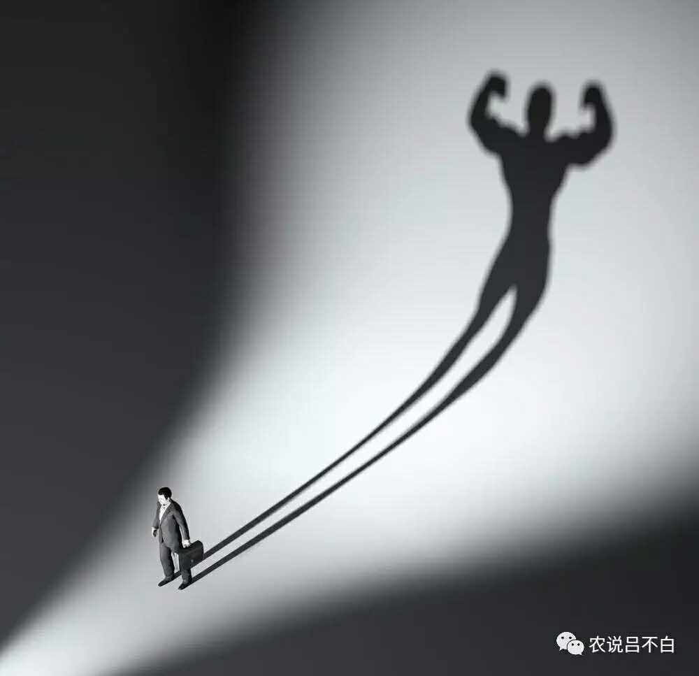 在农村集镇做什么能挣到钱,在乡村做什么小生意能挣钱