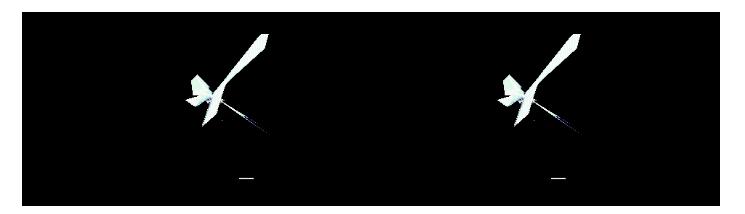 ppt中怎样用工具插入gif图,动图插入ppt如何使它可以动