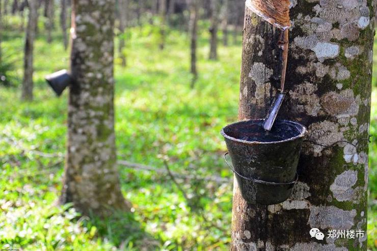 什么床垫需要1万块,什么品牌的床垫要8万块钱