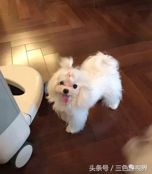 奔跑吧第一季第十二期陈赫超燃,奔跑吧陈赫成为第三季最强者