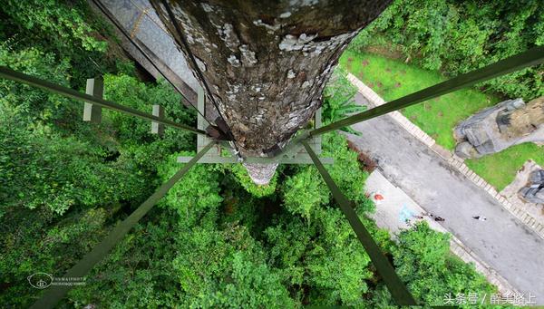 西双版纳在水一方泼水节,版纳哪里可以感受泼水