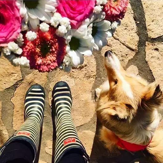 时尚时装当季流行,时髦精小众时装