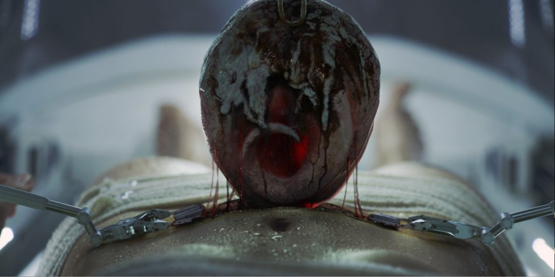 异形契约102个解读,异形契约结局让人细思极恐
