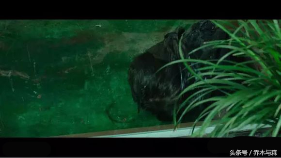 冰封的汉江慢慢融化，冰面之下的无头女尸浮出水面，连环杀人凶手