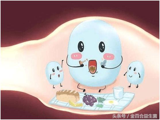 买益生菌120块钱,购买益生菌的猫腻