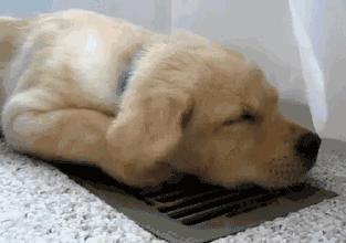 蚕丝面膜美白补水保湿淡斑正品,2016补水面膜排行榜