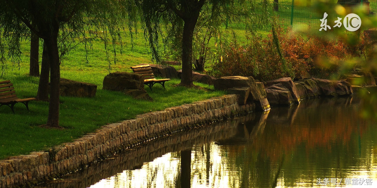 我心中的墨绿｜原创作文