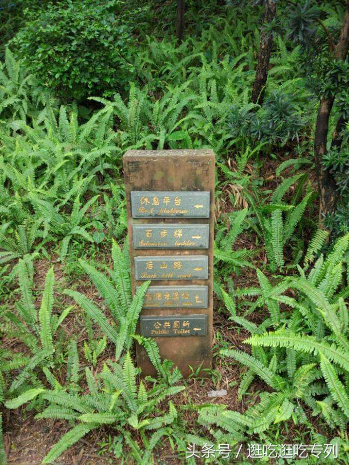 广州蟹山公园,广州蟹山公园免费吗